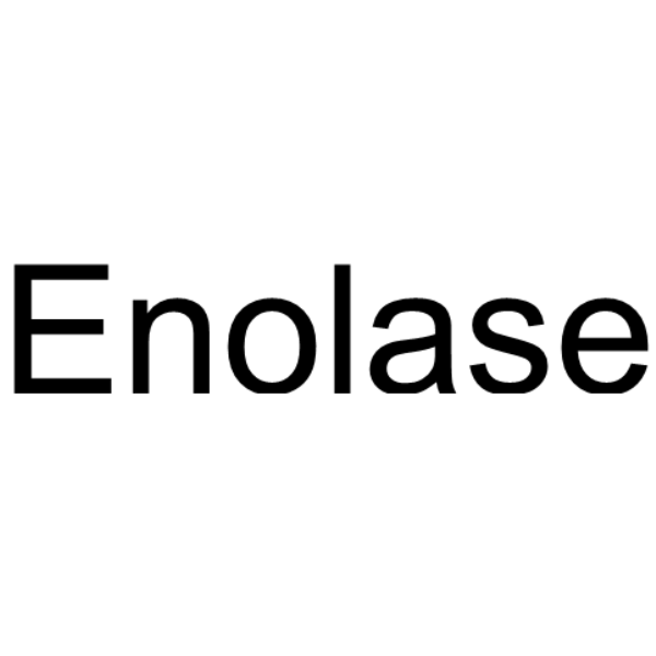 Enolase 9014-08-8